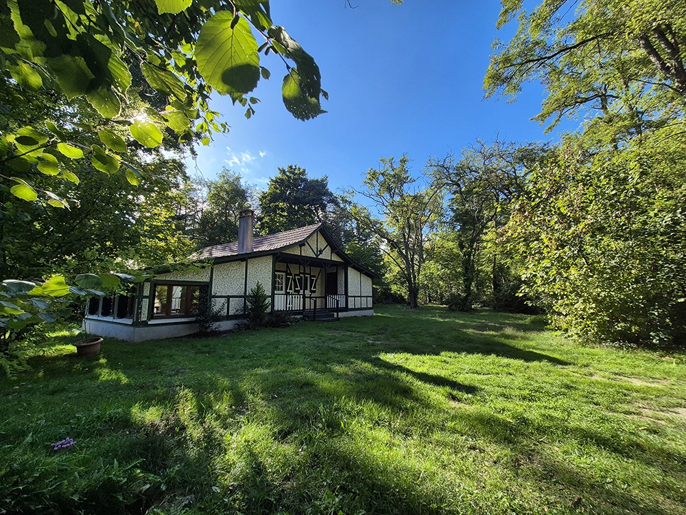 Outdoor view of the front of the house in the sun, green grass, hazel bush leaf’s on the left. Left hand side, you have the living room and entrance of the house on the right.